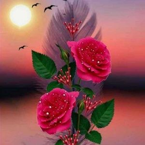 Meet your Posher, Shubhangi